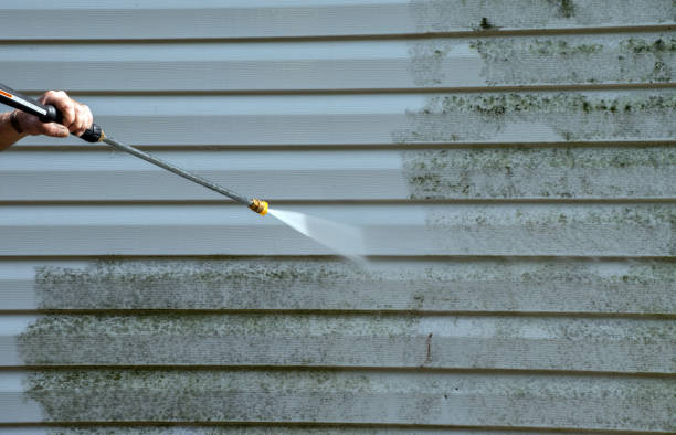 Best Roof Pressure Washing  in Richfield, WI